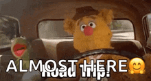 Hermit The Frog Road Trip GIF - Hermit The Frog Road Trip Happy GIFs