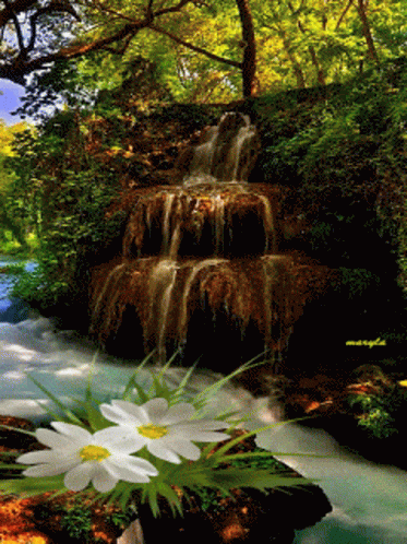Zen Place GIF - Zen Place Nature - Discover & Share GIFs