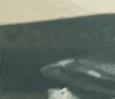 a blurry picture of a person standing on a table