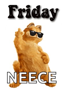 a picture of a cat wearing sunglasses and the words friday neece below it