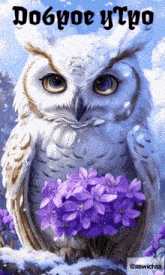 a painting of an owl holding purple flowers with the words dobroe ytpo written below it