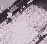 a black and white photo of a machine that is filled with white foam