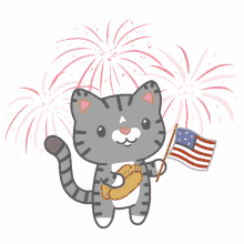 cat fireworks 4th july flag