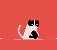 Bouncy Grumpy Cat GIF - Bouncy Grumpy Cat GIFs