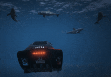 dolphins are swimming around a avisa underwater vehicle