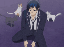Ogasawara Jirou Cats GIF - Ogasawara Jirou Cats Sasaki To Miyano GIFs