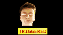 a young man 's face is behind a sign that says triggered