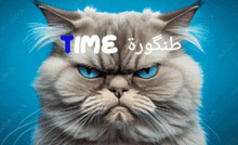 a cat with blue eyes and the word time in blue