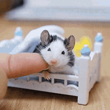 Funny Mouse GIFs | Tenor