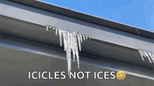 icicles ice melting amanda cerny