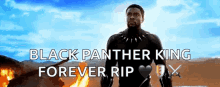 Chadwick Boseman Black Panther GIF - Chadwick Boseman Black Panther GIFs