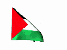 Palestine GIF - Palestine Flag Windy GIFs