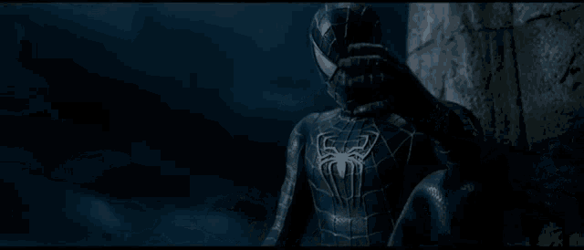 Black Suit Spiderman Symbiote Spiderman GIF - Black Suit Spiderman Symbiote  Spiderman Spiderman3 - Discover & Share GIFs
