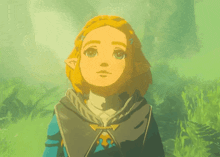 Zelda Princess Zelda GIF - Zelda Princess Zelda Totk GIFs