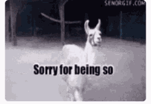 Llama Fabulous GIF - Llama Fabulous Apologetic GIFs