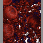 Symbiote Cells Blood Cells GIF - Symbiote Cells Symbiote Blood Cells GIFs