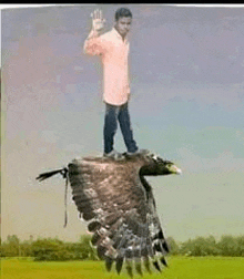 a man is standing on top of a large bird flying in the air .