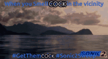 a poster for sonic the hedgehog 2 shows a landscape of mountains and water