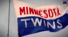 Twins Minnesota GIF - Twins Minnesota Homerun GIFs