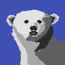 Polar Bear Tongue Out GIF