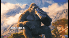 a picture of a gorilla drinking from a bottle with chinese writing