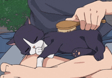 a person is brushing a black and white cat with a wooden brush