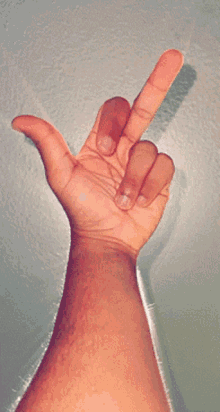 Middle Finger GIF - Middle Finger Jerkfinger GIFs