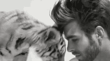 a black and white photo of a man standing next to a tiger .