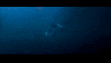Ll Cool J Deep Blue Sea GIF - Ll Cool J Deep Blue Sea Deepest Bluest GIFs