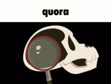 Quora Small Brain GIF - Quora Small Brain Skull GIFs
