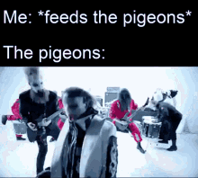 feeds pigeons