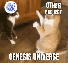 Gut Genesis Universe GIF - Gut Genesis Universe Crypto GIFs