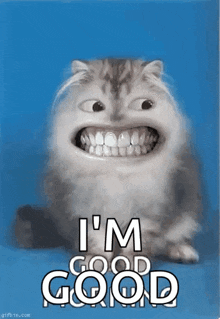 Smile Bigsmile GIF - Smile Bigsmile Cats GIFs