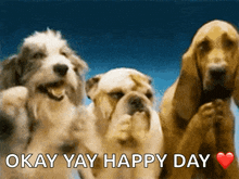 Dogs Clap GIF - Dogs Clap Applause GIFs