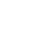 Bird Server Dev Sticker - Bird Server Dev 400s Stickers