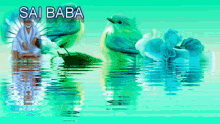 Sai Baba Changing Colors GIF - Sai Baba Changing Colors Water GIFs