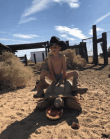 Cowboy Turtle Desert GIF