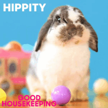 Easter Bunny GIF - Easter Bunny Good Housekeeping GIFs