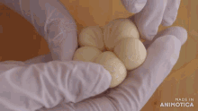 a close up of a person holding a bunch of white balls with the words made in animotica on the bottom right