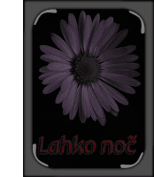 a picture of a flower with the words " lahko noc " written below it