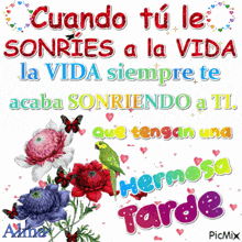 a picture of flowers and hearts with the words cuando tu le sonries a la vida