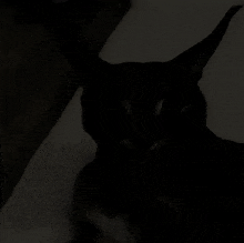 a black and white photo of a person sitting in a chair in a dark room .