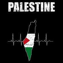 فلسطين GIF - فلسطين GIFs