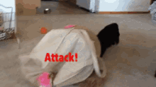 Kill The Bag! GIF - Cats Bag Playing GIFs