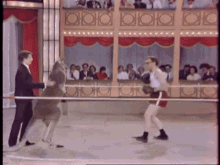 Woody Allen GIF - Woody Allen Boxing GIFs