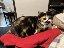 a calico cat sitting on a red blanket