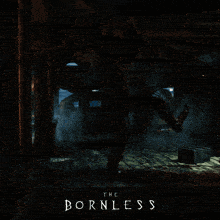 a video game called the bornless is being played on a computer