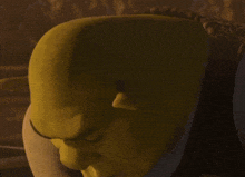 a close up of a woman 's face with a blurred background that says ' s ' on it