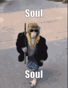 Soul Monkey Swag Monkey GIF - Soul Monkey Monkey Swag Monkey GIFs