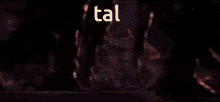Tal GIF - Tal GIFs